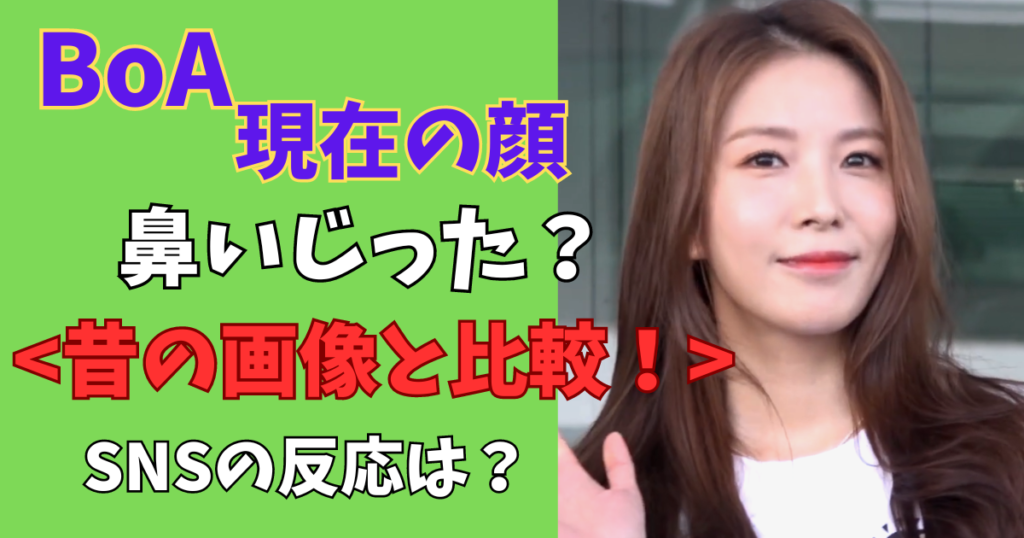 BoA現在の画像鼻は整形か?