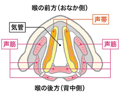 大森元貴歌が上手くなった、歌い方が変わったのはいつ?声の出し方や声変わりの時期は?
